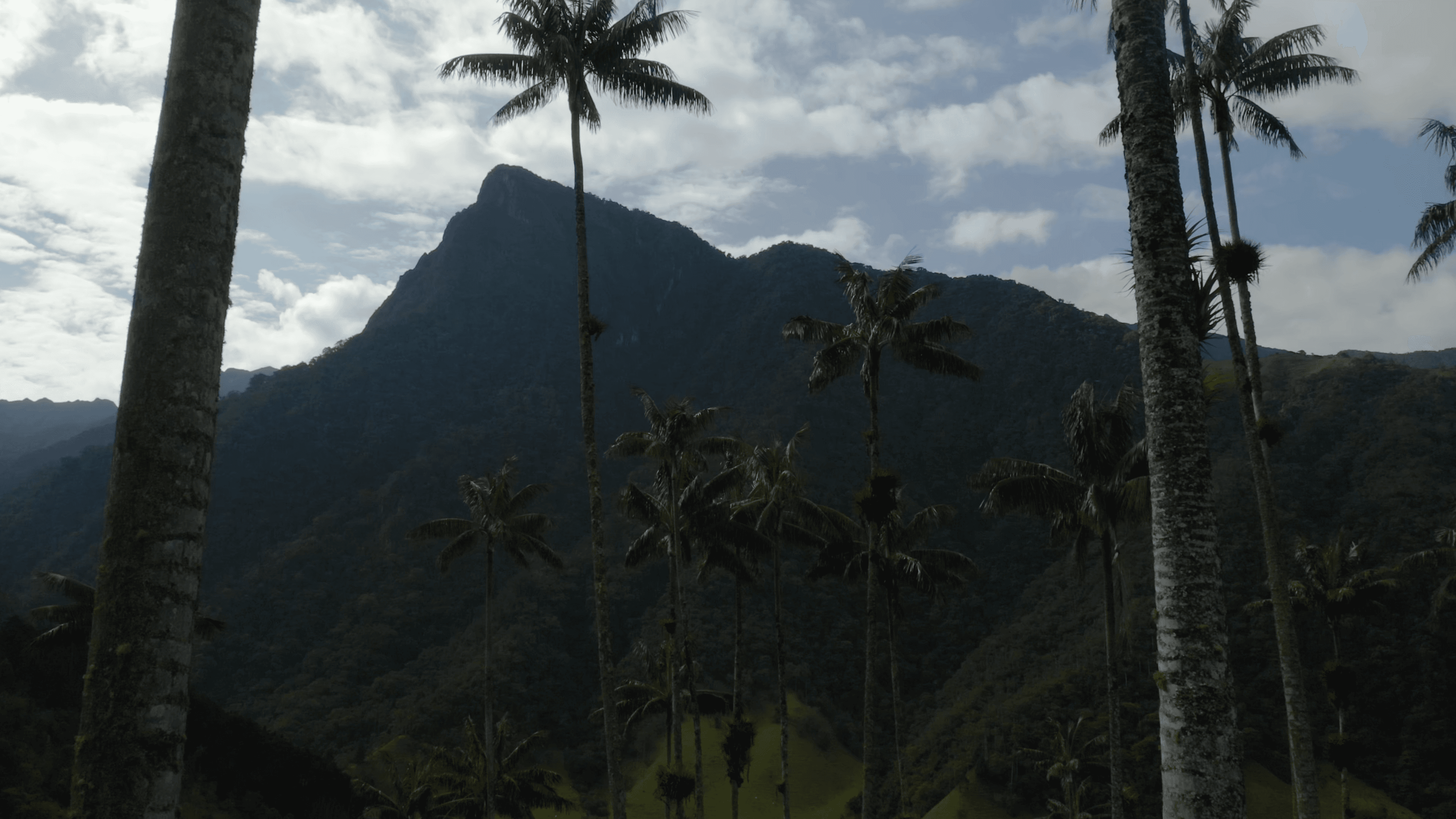 Coffee Region landscape